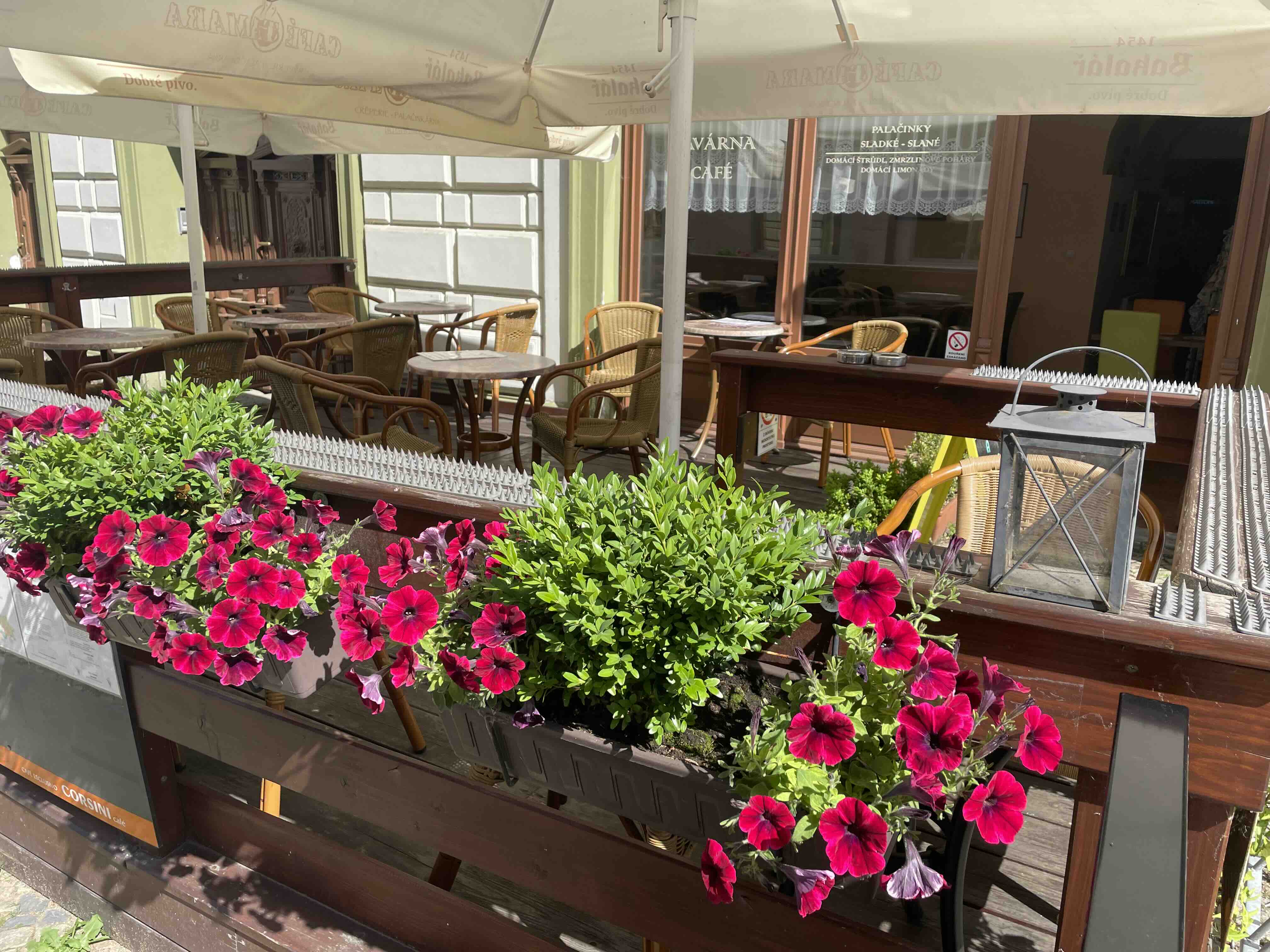 placeholder image sq